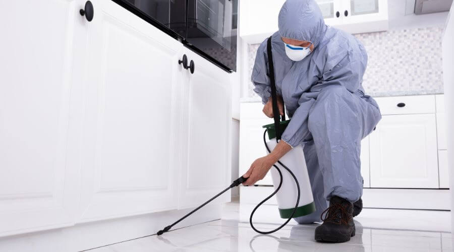 Professional 24 hour pest control services in Manchester